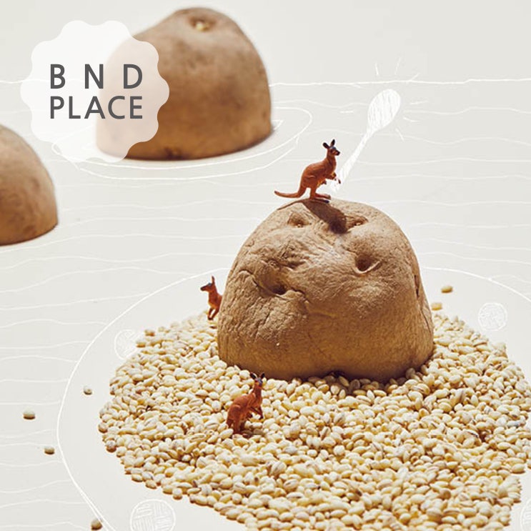 6월의 PLACE｜보리와 감자 미식 탐방