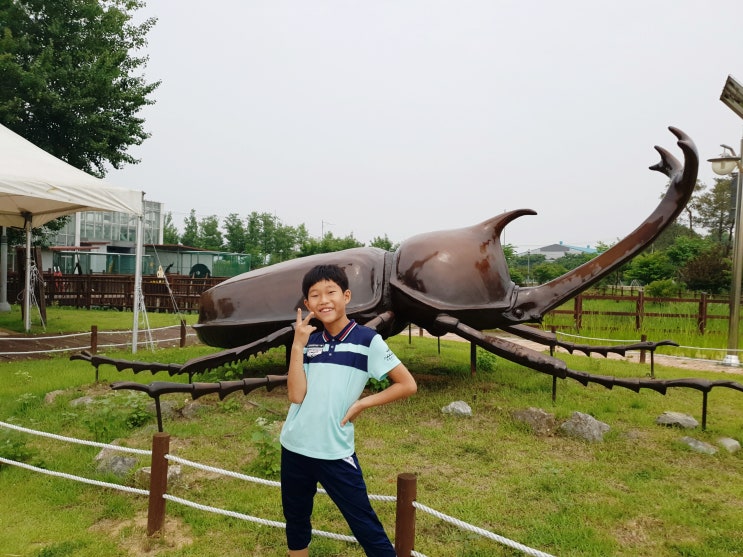  아산 가볼만한곳 생태곤충원