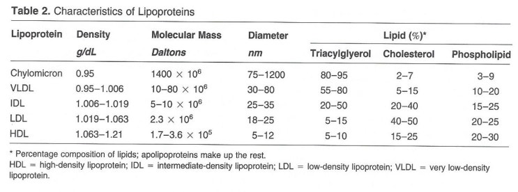  LDL과 HDL 콜레스테롤에 대한 이해와 관련 증상과 관리