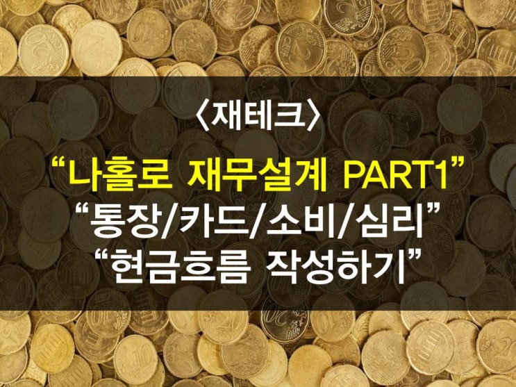  나 홀로 재무설계하기 PART 1- 통장쪼개기,카드사용,소비지출관리,가계부정리,재무심리,소비심리,혼자재무설계방법,재테크,세테크,현금흐름표작성,가로저축,분산저축,자금흐름분석