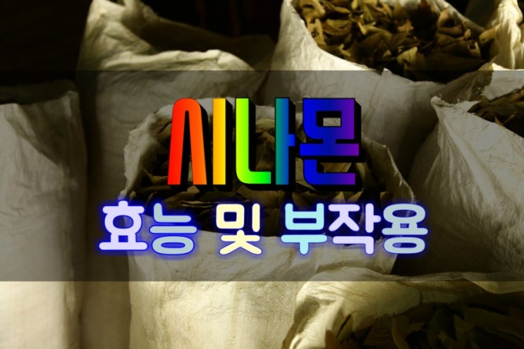  시나몬 계피 효능 및 부작용 심층분석