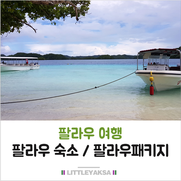  팔라우여행 호텔 리조트,투어,패키지 분석!!