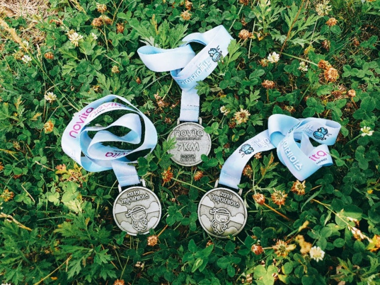  [도비의 일상 이야기] 2019 거북이 레이스 7km 참여/완주 후기(in 상암 월드컵 경기장 남문)