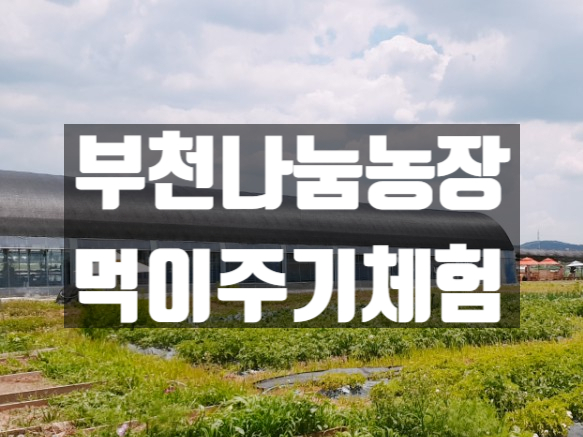  [느린리뷰] 부천 나눔농장, 동물 먹이주기 :: 주말 아이와 함께 가볼 만한 곳