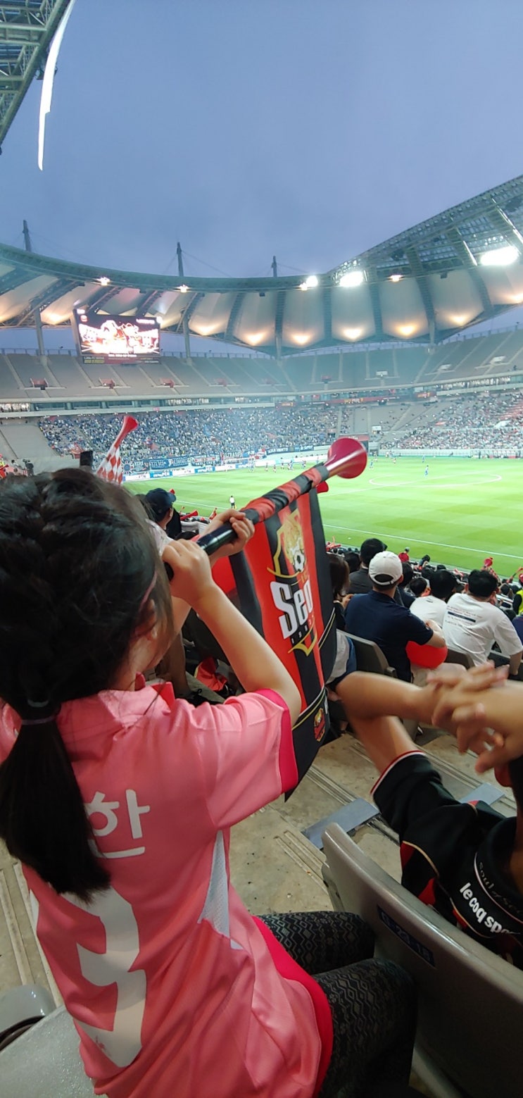  주말일상 :: 상암월드컵경기장에서!! FC서울 VS 수원삼성