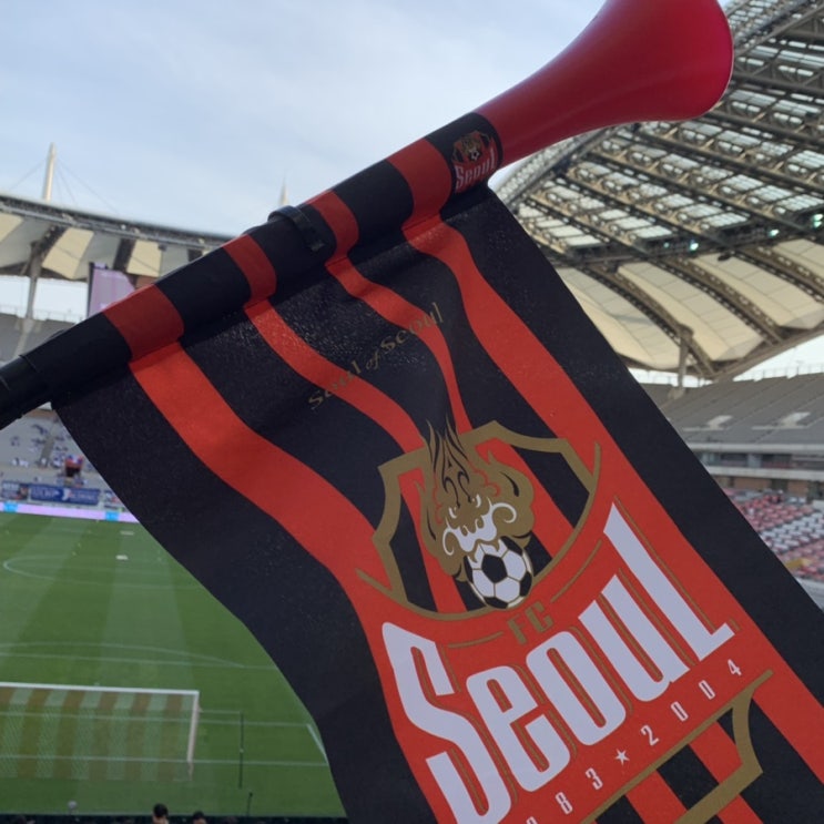  [일상]6월 16일 FC서울 vs 수원삼성블루윙즈 슈퍼매치 직관다녀왔어요.