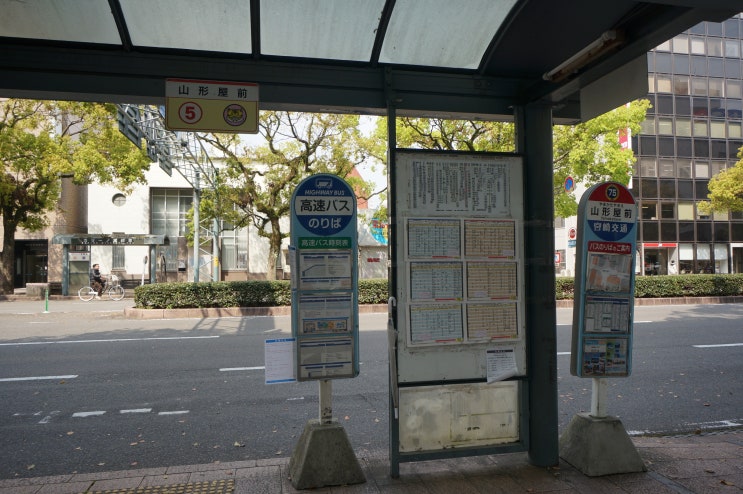 미야자키 여행, 관광지는 965 버스 하나로 모두 해결