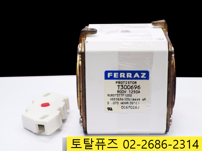 T300696 / FERRAZ FUSE / 페라즈 휴즈 / 반도체 보호용 / 900V 1250A