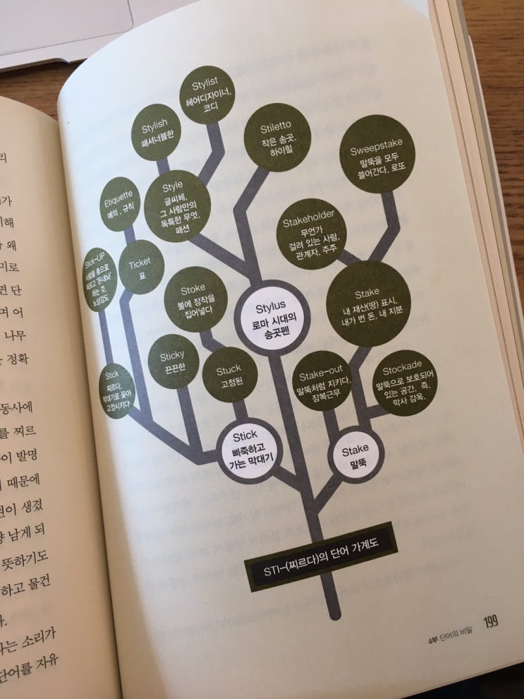  플루언트, 영어 유창성의 비밀 - 조승연
