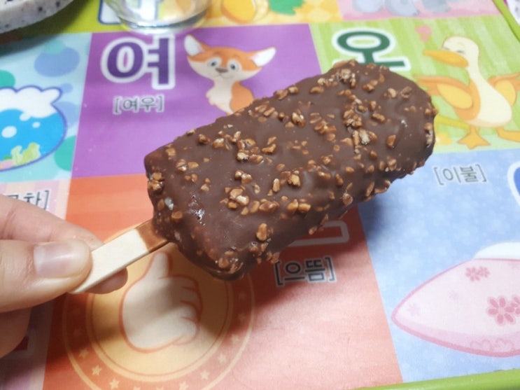  엔초 아이스크림 리뷰 진한 초코맛 아이스크림