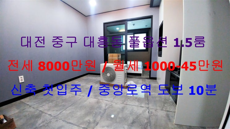  (대전 중구 대흥동) 중앙로역 인근에 있는 신축 첫입주~! 풀옵션 1.5룸입니다 ^^