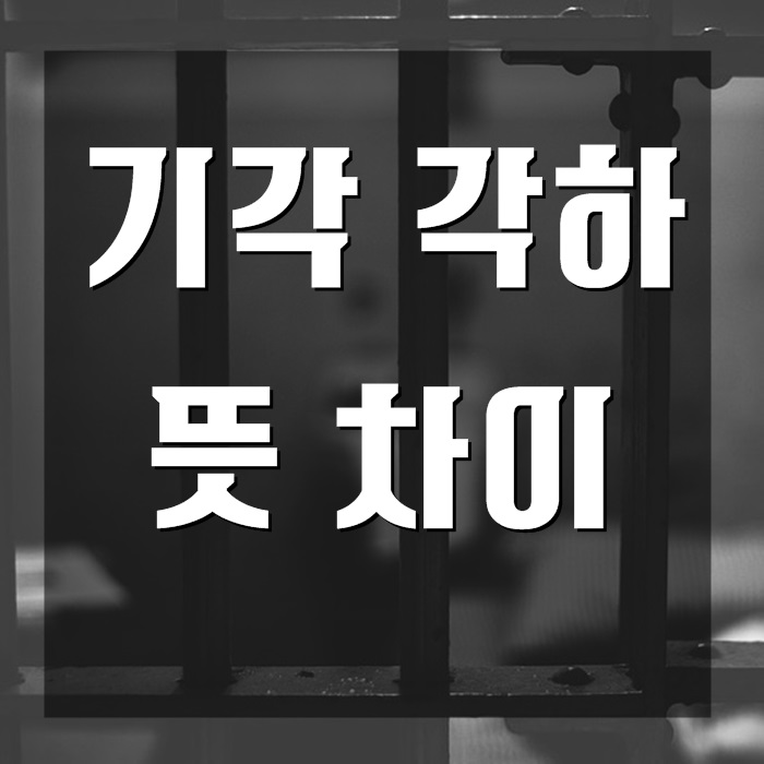 기각 각하 뜻 차이 간단하게알아봐