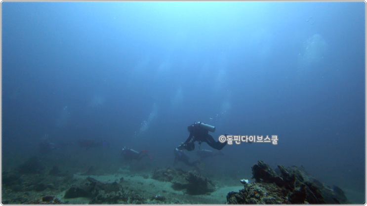 길리다이빙 - 길리 소라야 리프 (Soraya Reef)