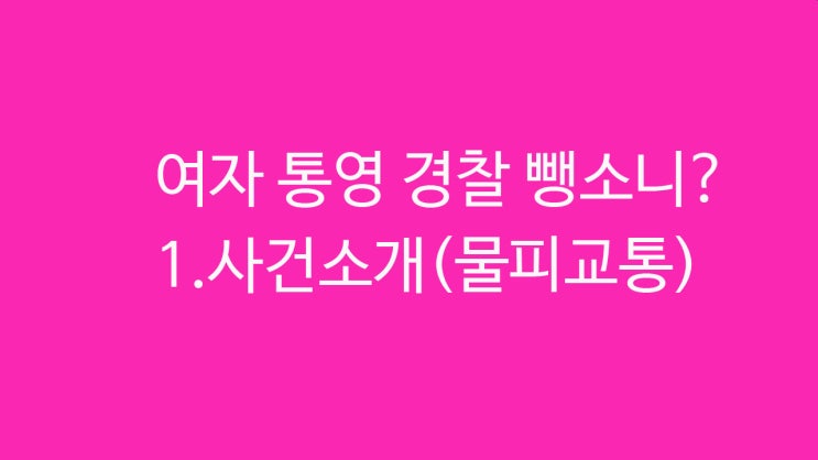  여경 통영경찰 뺑소니?(물피교통) 함평 군청 폭행 영상 (경찰 무대응)