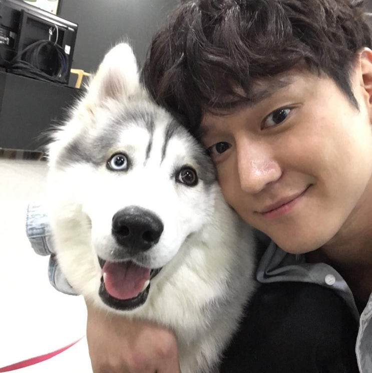  헤어스타일만 바꿨을 뿐인데 더 훈훈해진 남자 연예인