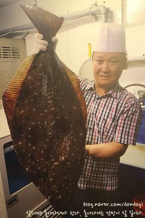  서울 교대역 대찬횟집 - 직장인밴드 경연대회를 앞둔 은영이와 서울교대 맛집에서 막회 한 접시