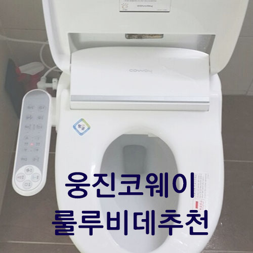  웅진코웨이룰루비데추천 너무 좋아요!