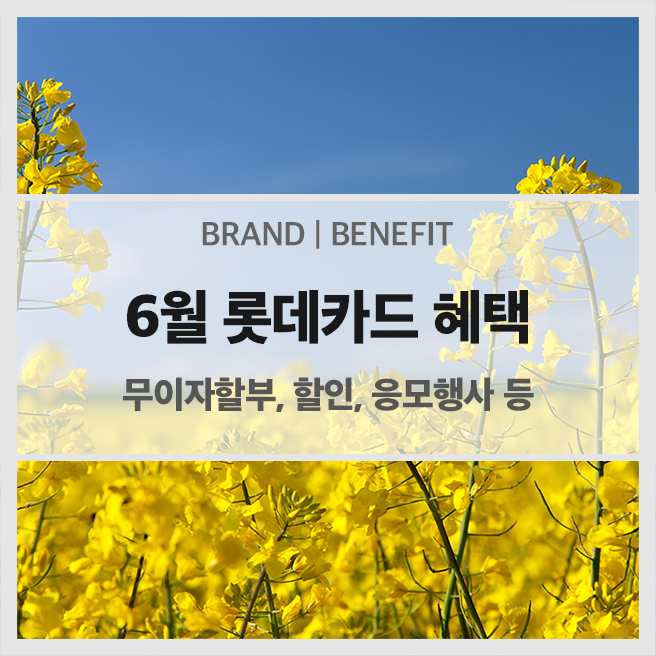  6월 롯데카드 혜택 안내 (무이자할부, 할인, 응모 행사 등)