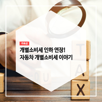  [카스탯 스토리] 개별소비세 인하 연장! 자동차 개별소비세 이야기