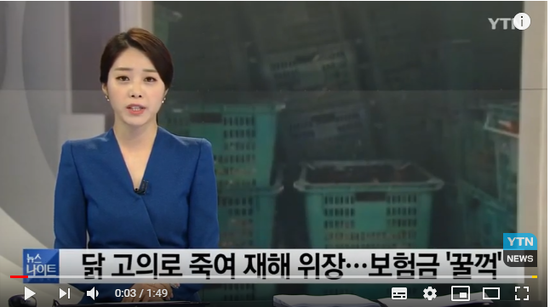 재해로 위장해 보험금 '꿀꺽'...축협 직원도 한 통 속 / YTN 재해로 위장해 보험금 '꿀꺽'...축협 직원도 한 통 속 / YTN