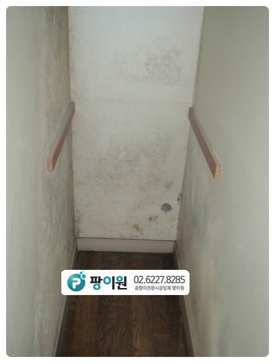  창고 곰팡이제거 이렇게 해결!