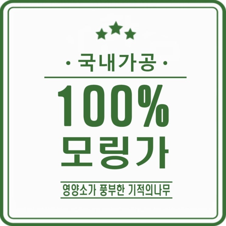  모링가 효능 및 모링가잎 분말가루 파는곳 자세히 알려드려요~