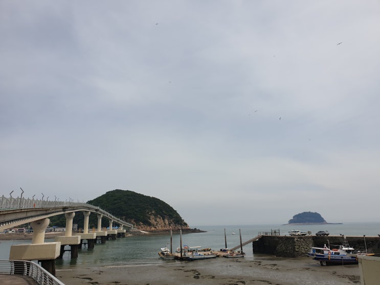  주말 가볼만한곳 인천 무의도. 소무의도. 하나개해수욕장