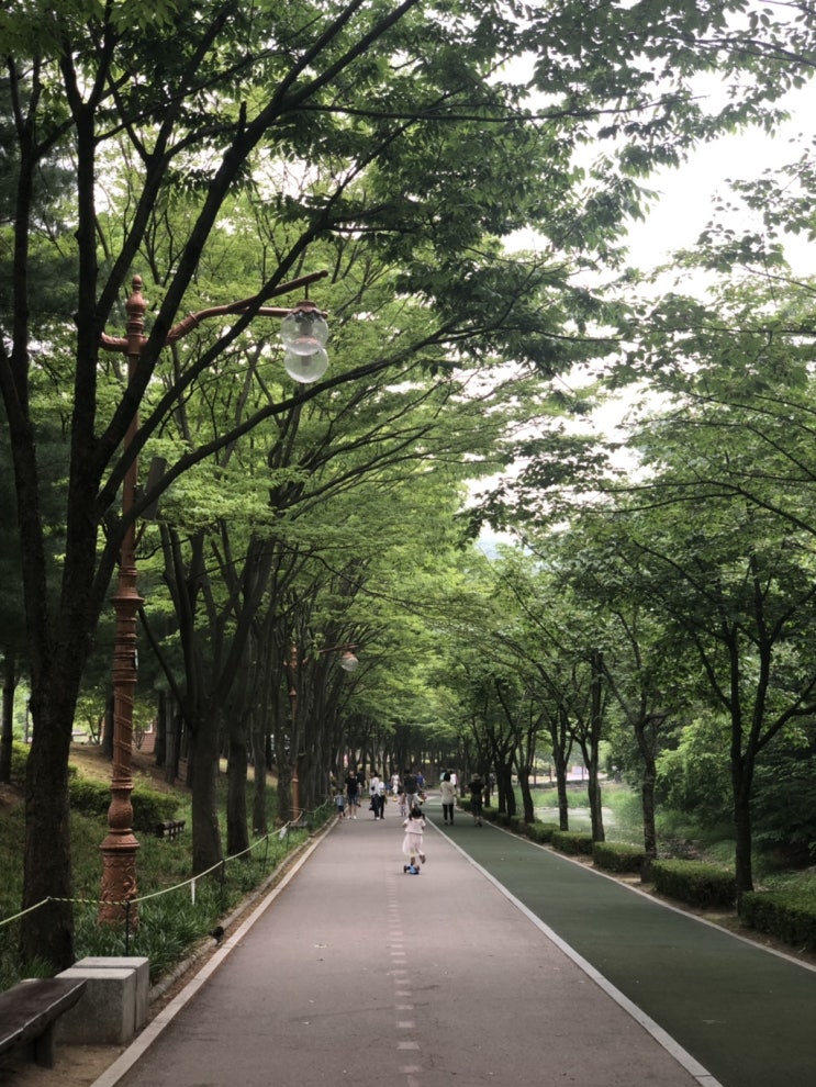  아이와 함께 가기 좋은 곳 : 분당율동공원, 하남 미사 코스트코