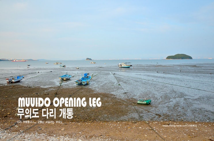  무의도 다리 개통 / Muuido opening leg
