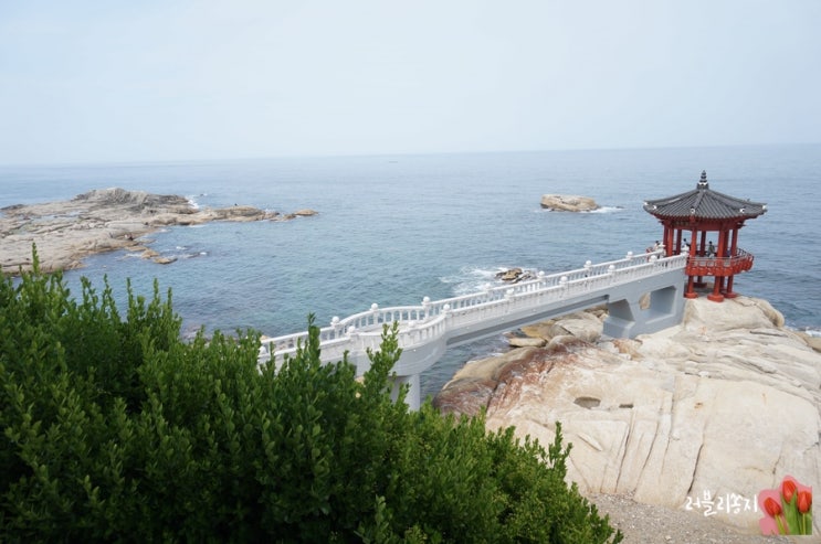  속초 영금정 산책하기 좋은가볼 만한 곳 ; 속초 여행