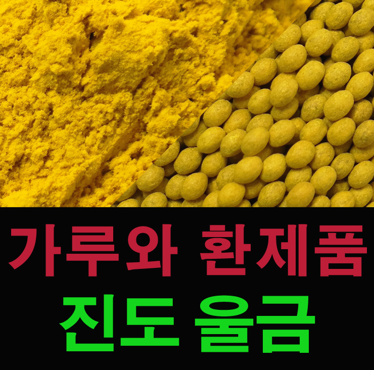  진도 울금 효능 커큐민 함유된 울금가루 먹는방법(환,가루 파는곳)