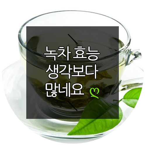  녹차 효능 생각보다 다양하네요 :)