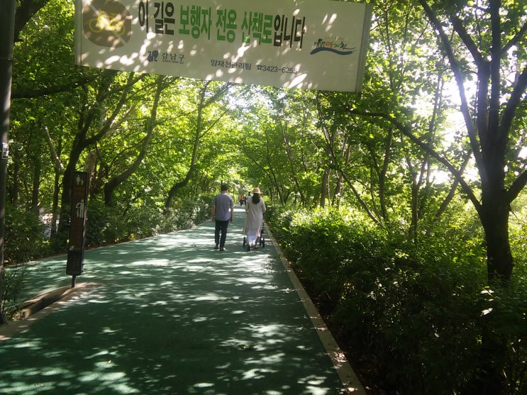  시-선가 귀감에, 들꽃이라도/김선우