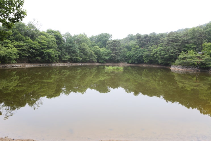  나만의비밀정원  삼육대학교 제명호수