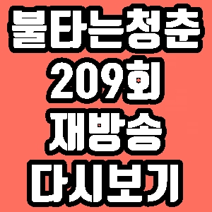 불타는 청춘 209회 구본승 조하나 재방송 다시보기 방송시간 편성표