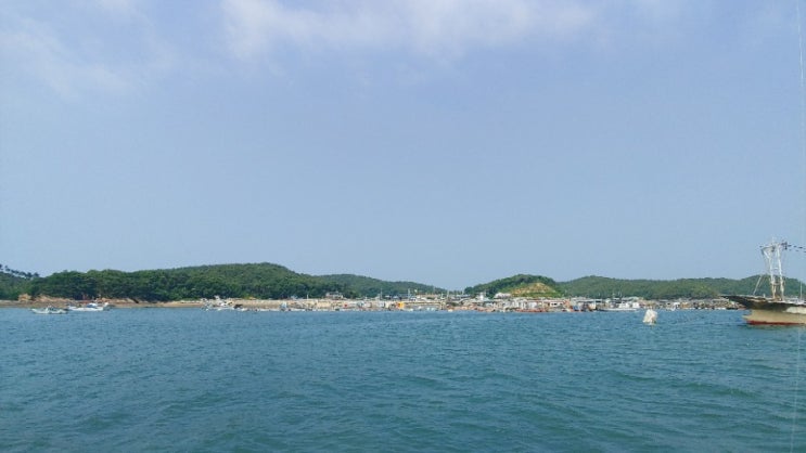  6월15일 조과 - 구매항 달빛좌대 물빨 개빠르네
