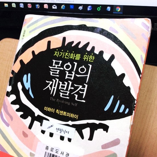 [독서] 몰입의 재발견01 (5~219페이지) , 미하이 칙센트미하이 the evolving self 김우열 옮김 한국경....