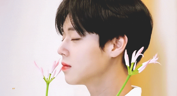  [박지훈 디스패치] 190618 예쁜 거 귀여운 거 다 지후니 해!