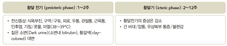  급성 간염(Acute hepatitis) : 급성 바이러스 간염(Acute viral hepatitis) - 급성 A형 간염 중심 - 개요 / 진단/ 치료