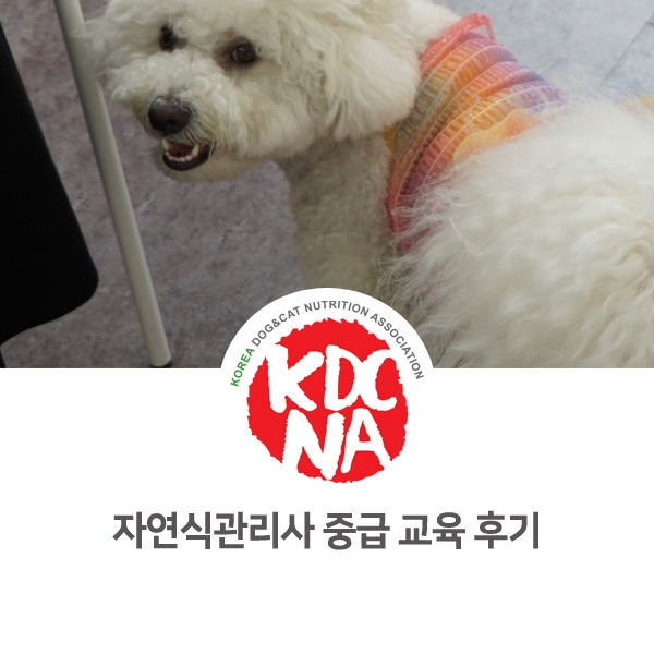 [반려동물 영양 전문가 양성] 강아지 자연식관리사 중급과정 자격 교육_51