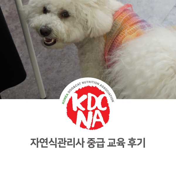  [반려동물 영양 전문가 양성] 강아지 자연식관리사 중급과정 자격 교육_51