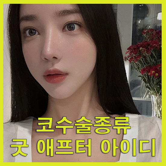  코수술종류 메쉬코밸런스로 자연스럽게