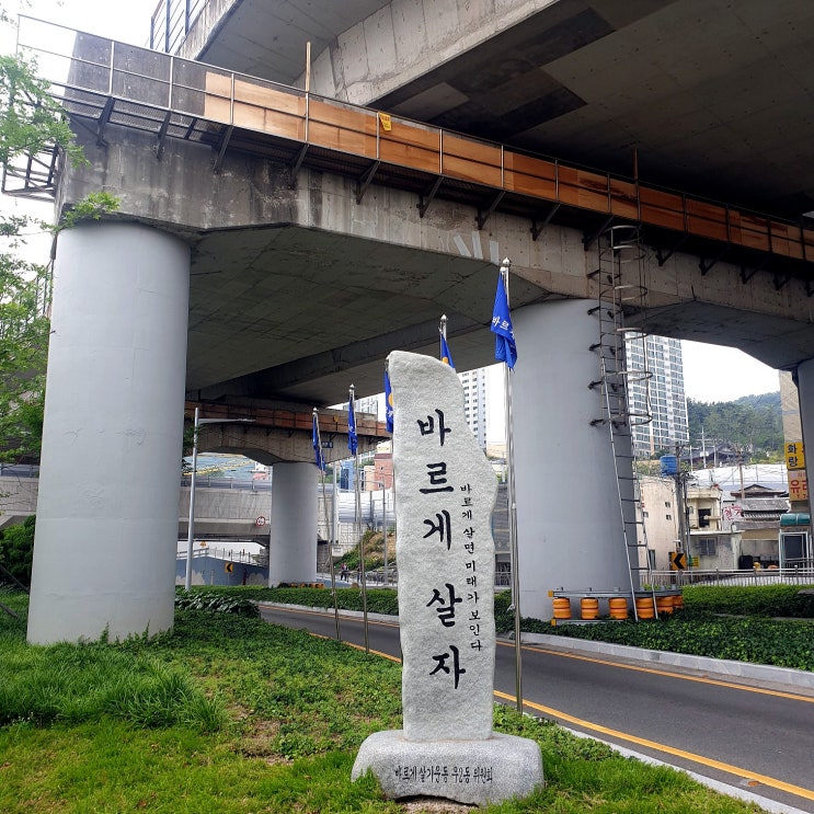  부산 벡스코맛집 '면옥향천' 100 순메밀/ '스벅신메뉴' 취저