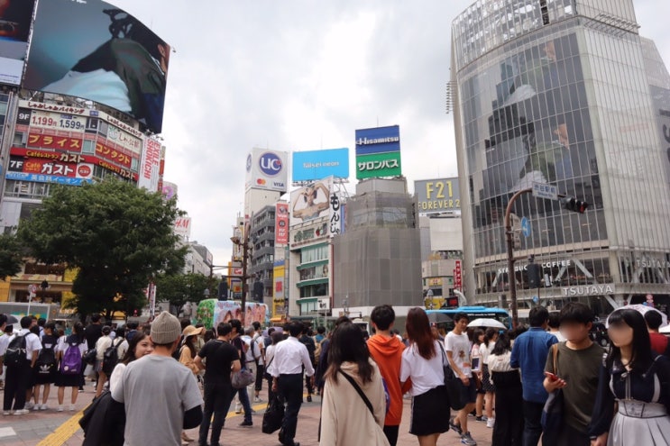  #시부야스크램블교차로#시부야스타벅스#109시부야#로프트#디즈니스토어#도쿄여행3일차(19.05.29)