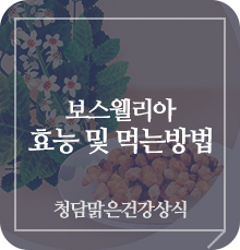  관절에 좋다는 보스웰리아 효능 및 보스웰리아 먹는방법