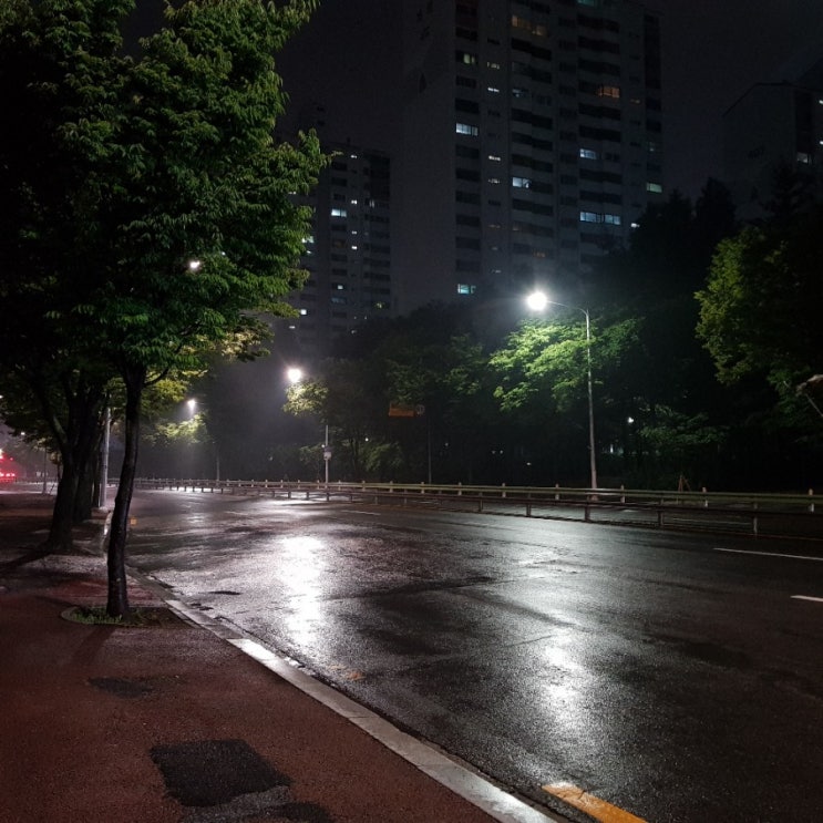 [일일스냅] 비오는 거리