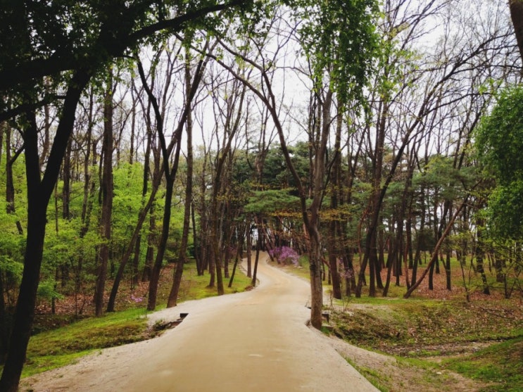 「경기도, 화성」 깊은 이야기가 담긴 문화유적지 융릉, 건릉