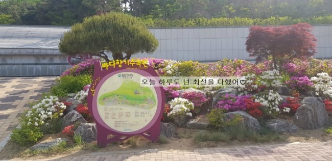  안산 바다향기수목원/ 안산 아이데리고 갈만한곳
