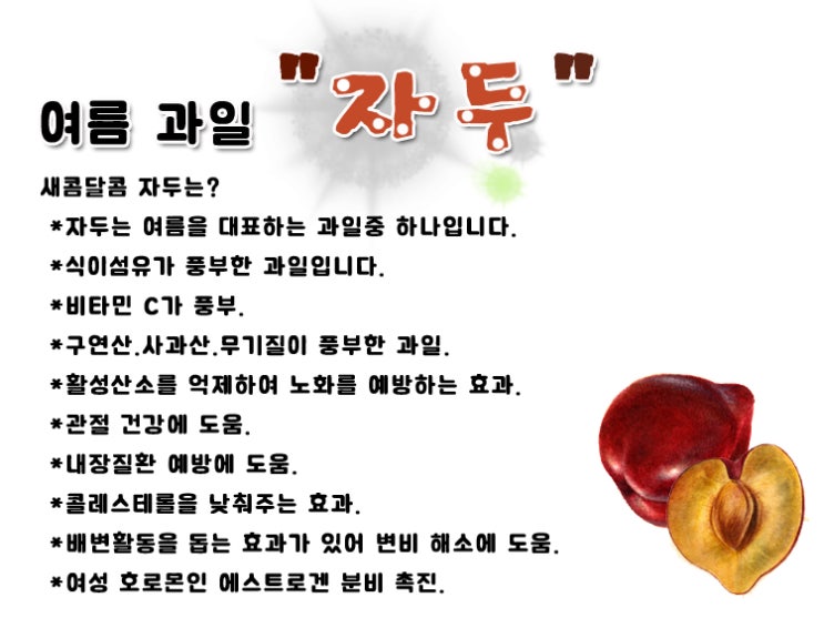  자두의 영양