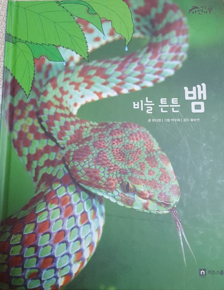  야호 자연아 - 비늘튼튼 뱀/ 비늘단단 도마뱀 (독후활동)21번